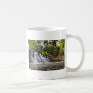 Rochester Falls waterfall in Souillac Mauritius Coffee Mug