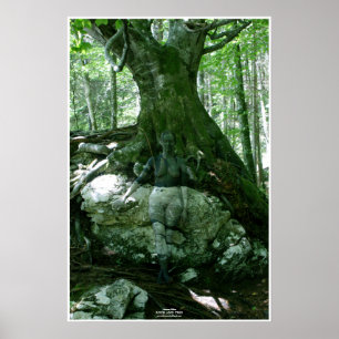 Rock and Tree by Johannes Stötter Poster