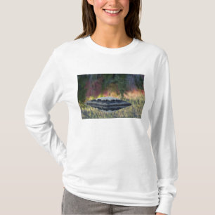 Rock and tree reflection, Lily Pond, White T-Shirt