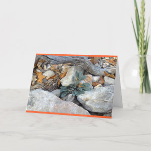 "Rock Art #5" Card