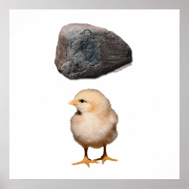 Rock + Chick Poster (Front)