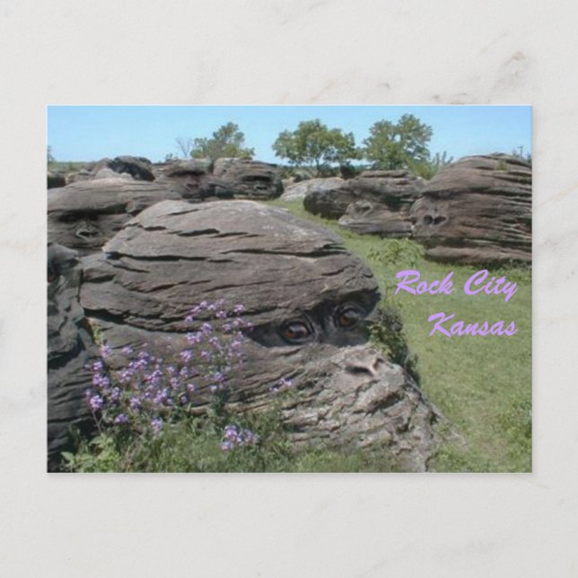 Rock City, Kansas Postcard (Front)