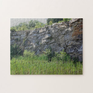 Rock Cliff Wall Cattails Pond Nature Jigsaw Puzzle