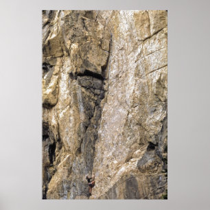 Rock Climber - Poster