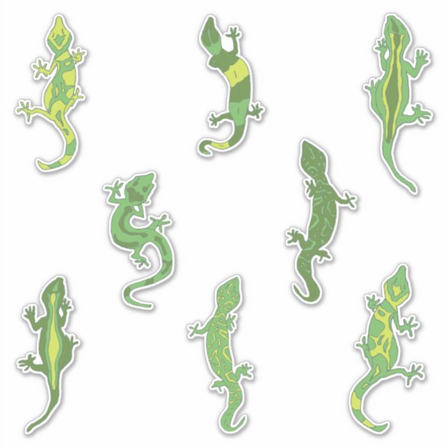Rock Climbing Geckos. (Front)