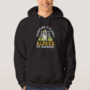 Rock Climbing Mountaineer Bouldering Climbing You Hoodie