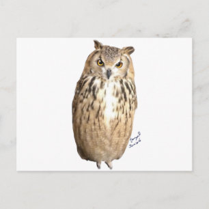 Rock eagle owl postcard