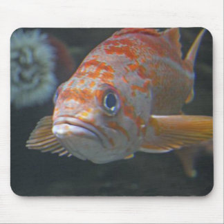 Rock Fish Mouse Pad