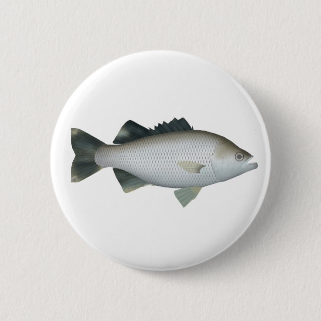 Rock Flagtail 6 Cm Round Badge (Front)