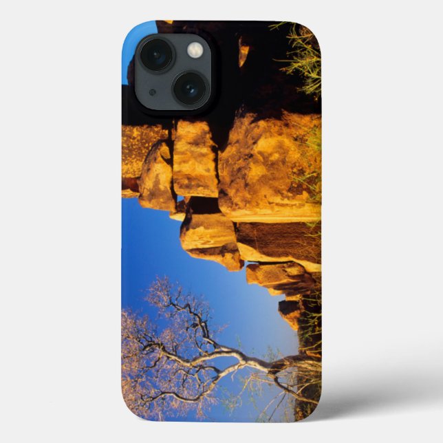 Rock Formation And Tree, Giant's Playground Case-Mate iPhone Case (Back)