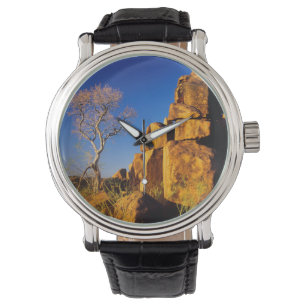 Rock Formation And Tree, Giant's Playground Watch