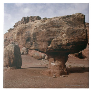 Rock formations in Marble Canyon, Utah Tile