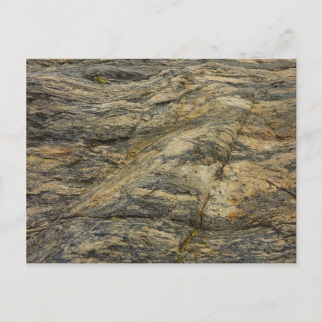 Rock from Joshua Tree Abstract Nature Photography Postcard (Front)