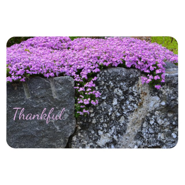 Rock Garden Gratitude Magnet (Horizontal)