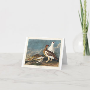 Rock Grous from Birds of America (1827) Thank You Card