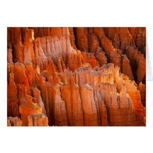 Rock Hoodoos in Morning Light