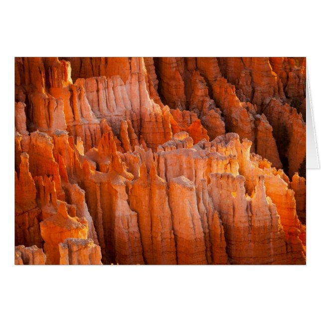 Rock Hoodoos in Morning Light (Front Horizontal)