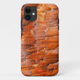 Rock Hoodoos in Morning Light iPhone 11 Case