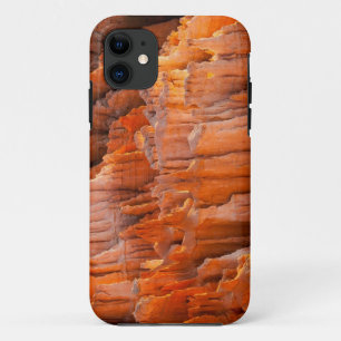 Rock Hoodoos in Morning Light iPhone 11 Case
