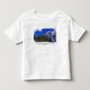 Rock Islands Palau Toddler T-Shirt