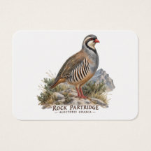 Rock Partridge ,Alectoris Graeca Hunting Birds