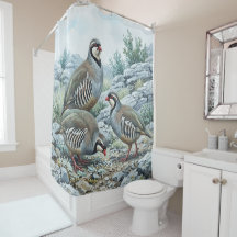 Rock Partridge ,Alectoris Graeca Hunting Birds
