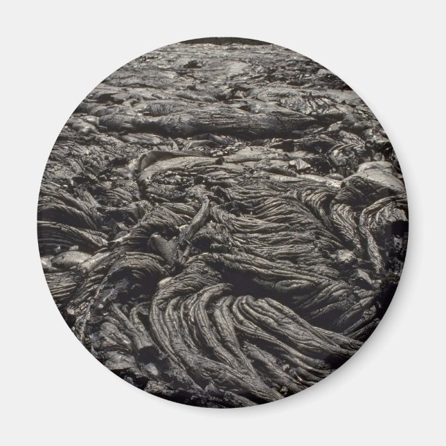 Rock Phoenix Magnet (Front)