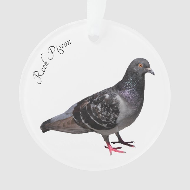Rock Pigeon Ornament (Front)