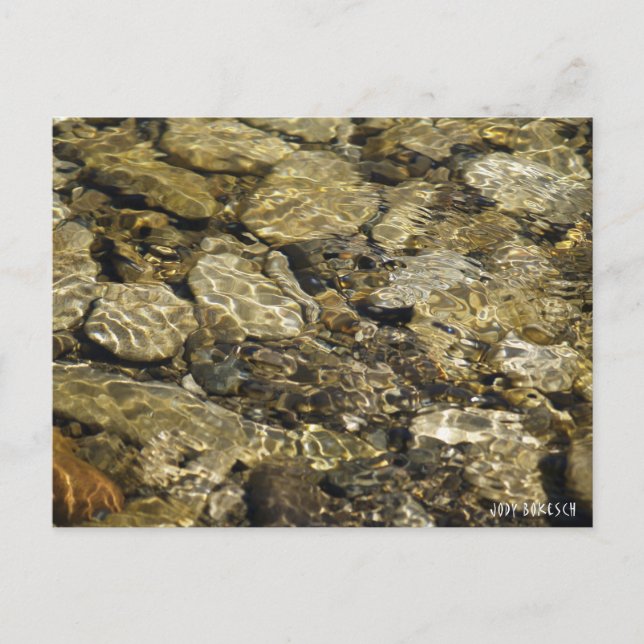Rock Pool Nature Collection Postcard (Front)