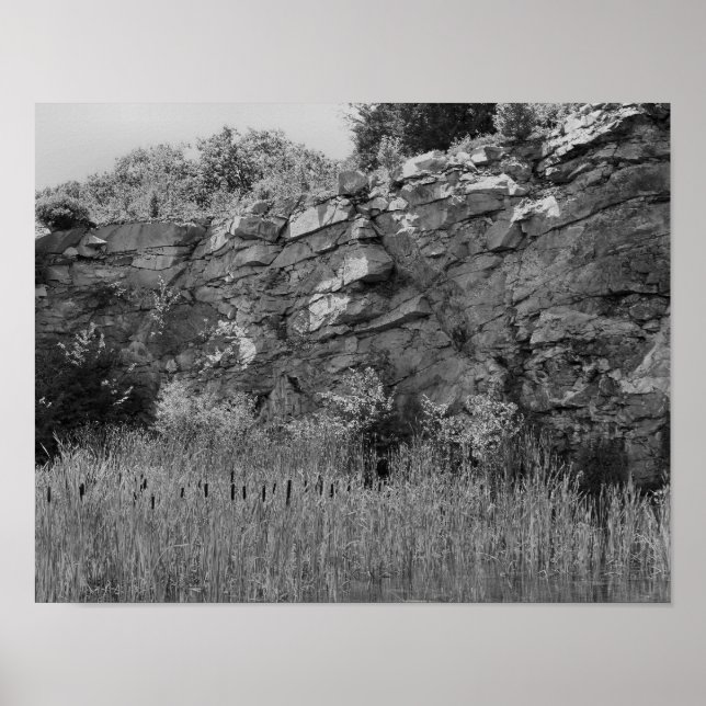 Rock Quarry Cliff Cattails 2 Black And White  Poster (Front)