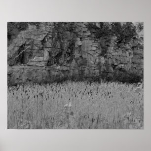 Rock Quarry Wall Cattails 1 Black And White  Poster