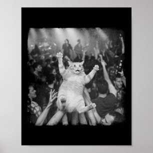 Rock Show Cat Meme Funny Humor Tabby Cat Crowd Sur Poster
