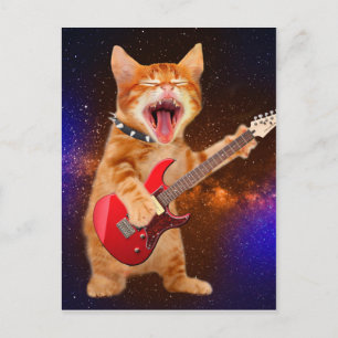 Rock star cat postcard
