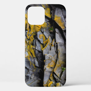 Rock wall crevices geology pattern iPhone 12 case