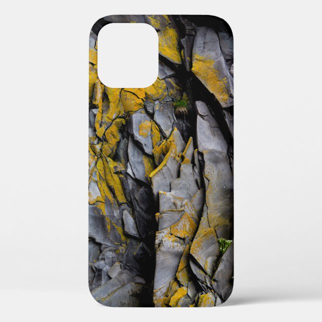 Rock wall crevices geology pattern Case-Mate iPhone case (Back)