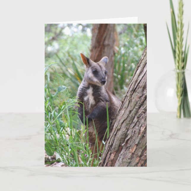 Rock Wallaby Greeting Card (Front)