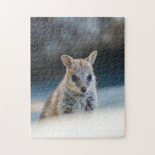 Rock Wallaby Joey Portrait – Australian Wildlife  Jigsaw Puzzle