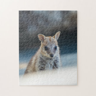 Rock Wallaby Joey Portrait – Australian Wildlife Jigsaw Puzzle