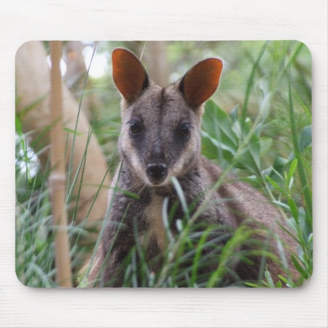 Rock Wallaby Mouse Pad (Front)