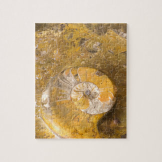 Rock with Fossilised Ammonite & Other Fossils Jigsaw Puzzle