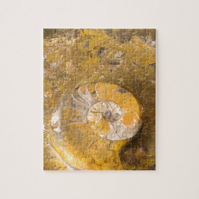 Rock with Fossilised Ammonite & Other Fossils Jigsaw Puzzle (Vertical)