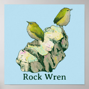 Rock Wren birds New Zealand Poster