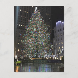 Rockefeller Centre NYC Christmas Tree Reflection Holiday Postcard