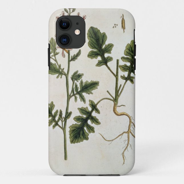 Rocket, plate 242 from 'A Curious Herbal', publish Case-Mate iPhone Case (Back)