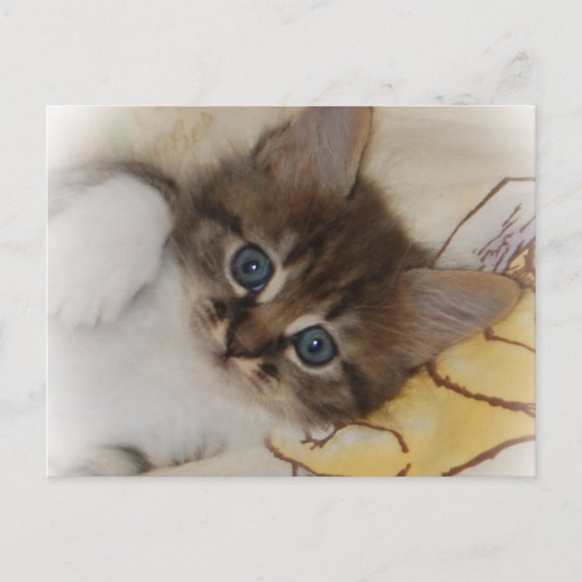 Rocket Postcard (Front)