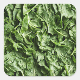 Rocket Square Sticker