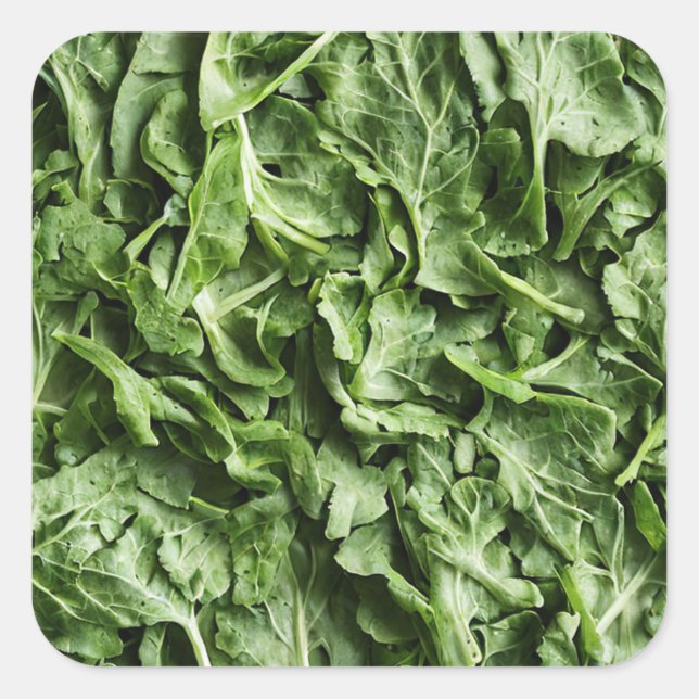 Rocket Square Sticker (Front)