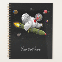 Rocket Turkey in Space