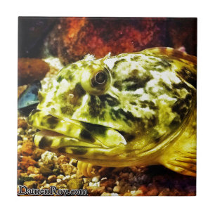 Rockfish Ceramic Tile