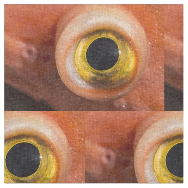 Rockfish Eye Fabric (Close Up)